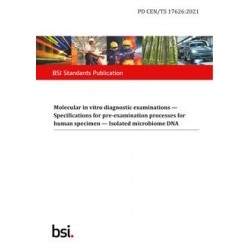 BS PD CEN/TS 17626:2021