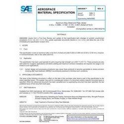 SAE AMS4096E