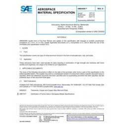 SAE AMS4590D