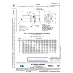 SAE AS6047D