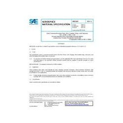 SAE AMS5629G