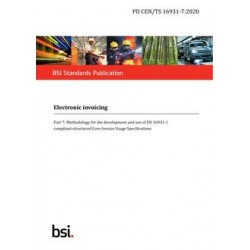 BS PD CEN/TS 16931-7:2020