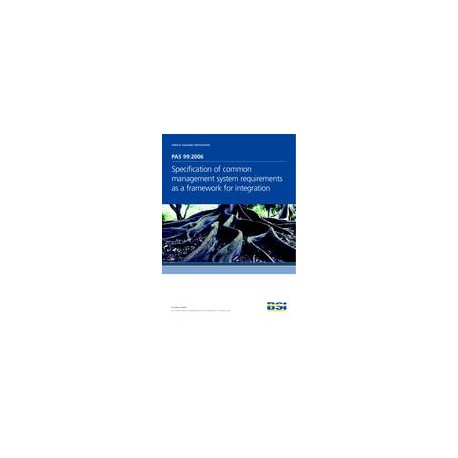 BS PAS 99:2006