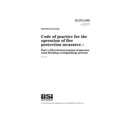 BS 7273-1:2006