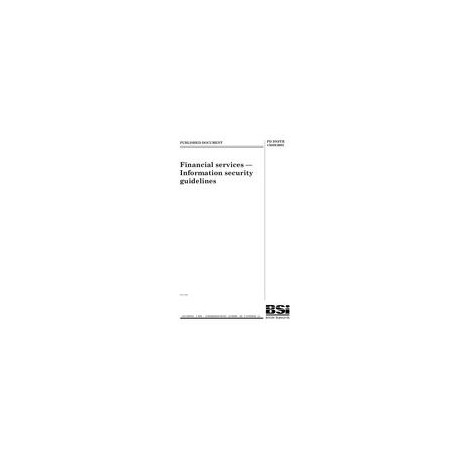 BS PD ISO/TR 13569:2005