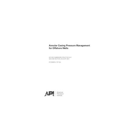 API RP 90-1
