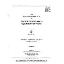 API RP 53