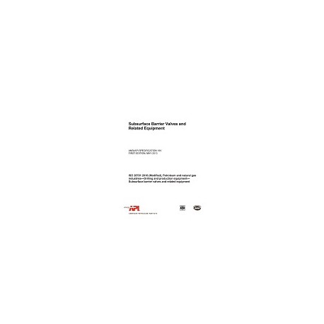 API Spec 19V