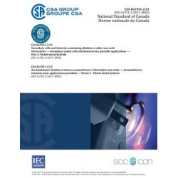 CSA E61951-2:21